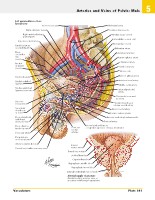 Frank H. Netter, MD - Atlas of Human Anatomy (6th ed ) 2014, page 424